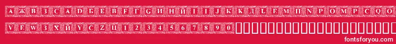 DsinitialsNormal Font – White Fonts on Red Background