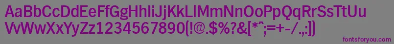 HamburgMedium Font – Purple Fonts on Gray Background