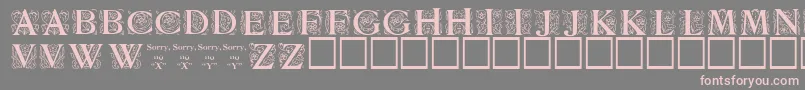 Zallman Font – Pink Fonts on Gray Background