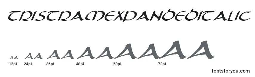 TristramExpandedItalic Font Sizes