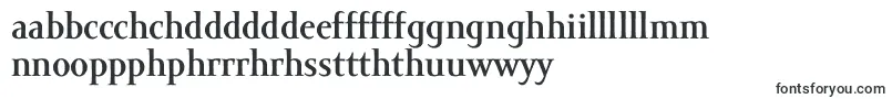 AmorSerifProBold Font – Welsh Fonts