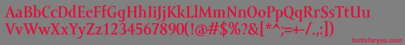 AmorSerifProBold Font – Red Fonts on Gray Background
