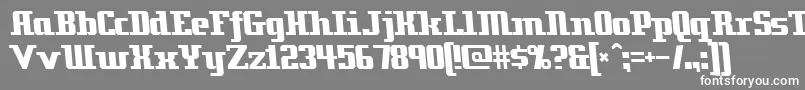 Zenith ffy Font – White Fonts on Gray Background