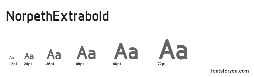 NorpethExtrabold Font Sizes