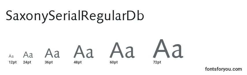 SaxonySerialRegularDb Font Sizes