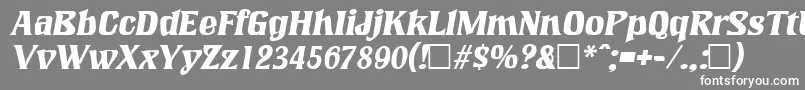 フォントLookingglassItalic – 灰色の背景に白い文字