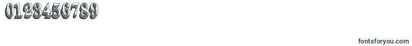 Dullard Font – Fonts for Numbers and Digits