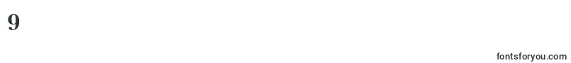 ItcNewBaskervilleBoldSmallCapsOldStyleFigures Font – Fonts for Digit 9