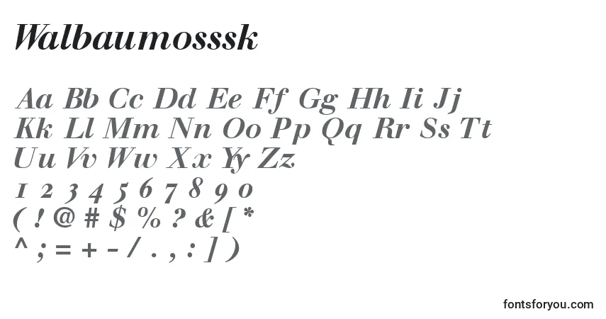 Шрифт Walbaumosssk – алфавит, цифры, специальные символы