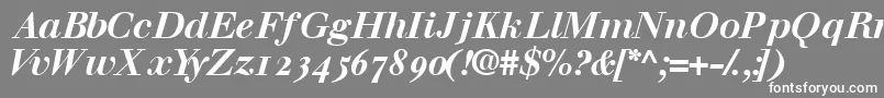 Walbaumosssk Font – White Fonts on Gray Background