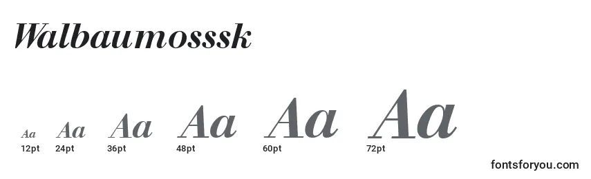 Размеры шрифта Walbaumosssk