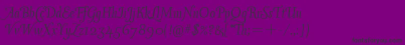 Vineyardswashcapsitc Font – Black Fonts on Purple Background