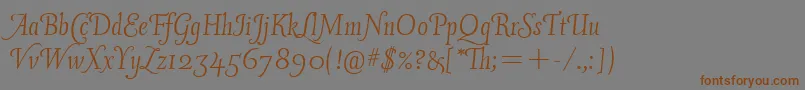 Vineyardswashcapsitc Font – Brown Fonts on Gray Background