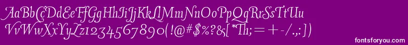 Vineyardswashcapsitc Font – White Fonts on Purple Background