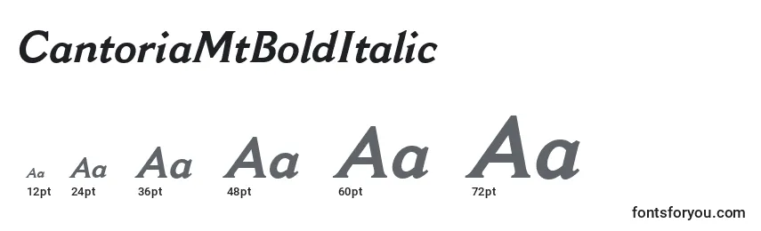 CantoriaMtBoldItalic Font Sizes