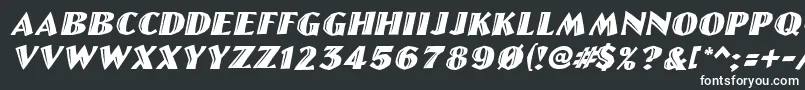 フォントLinolettercutItalic – 白い文字