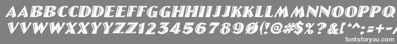 LinolettercutItalic Font – White Fonts on Gray Background