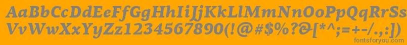 PfagoraserifproBlackitalic Font – Gray Fonts on Orange Background