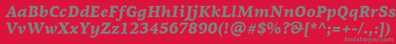 PfagoraserifproBlackitalic Font – Gray Fonts on Red Background