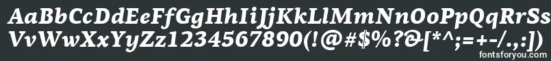 フォントPfagoraserifproBlackitalic – 黒い背景に白い文字