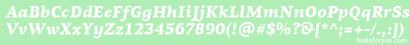 PfagoraserifproBlackitalic Font – White Fonts on Green Background