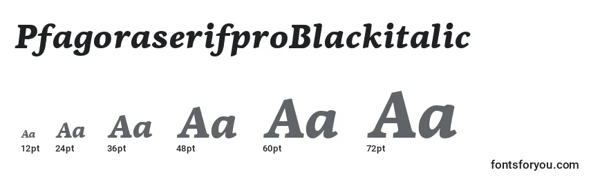 Размеры шрифта PfagoraserifproBlackitalic