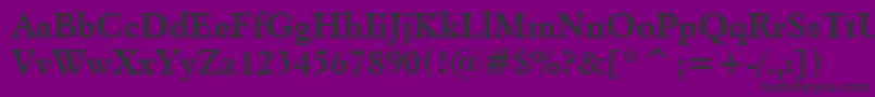 ItalianGaramondBoldBt Font – Black Fonts on Purple Background