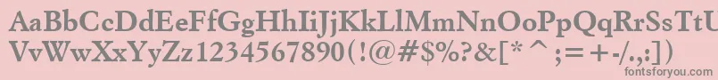 ItalianGaramondBoldBt Font – Gray Fonts on Pink Background