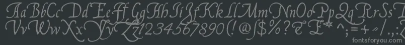 Czcionka FranciscoLucasLlanaRegular – szare czcionki na czarnym tle