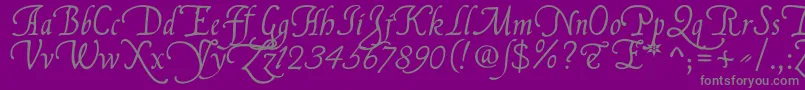 FranciscoLucasLlanaRegular-Schriftart – Graue Schriften auf violettem Hintergrund