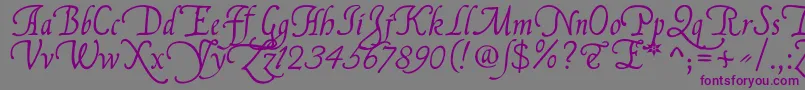 FranciscoLucasLlanaRegular Font – Purple Fonts on Gray Background