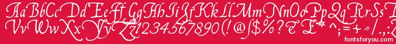 FranciscoLucasLlanaRegular Font – White Fonts on Red Background