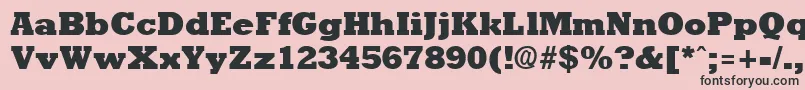 RockneyextraboldRegular Font – Black Fonts on Pink Background