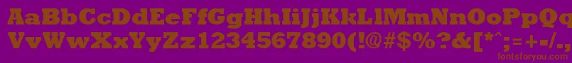 RockneyextraboldRegular Font – Brown Fonts on Purple Background