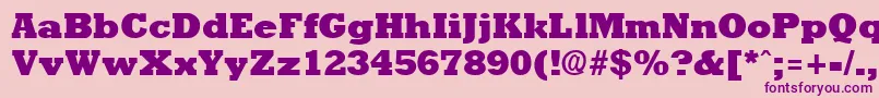 RockneyextraboldRegular Font – Purple Fonts on Pink Background