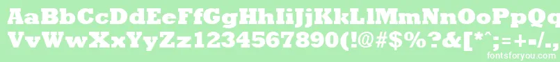 RockneyextraboldRegular Font – White Fonts on Green Background