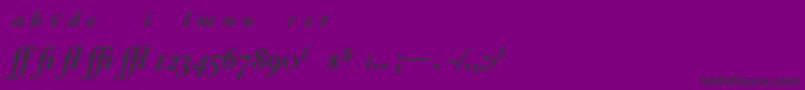 AdobeCaslonBoldItalicExpert Font – Black Fonts on Purple Background