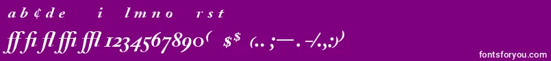 Czcionka AdobeCaslonBoldItalicExpert – białe czcionki na fioletowym tle