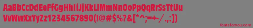 AntiqueolitconBold Font – Red Fonts on Gray Background