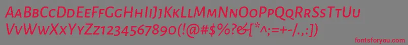 AlegreyasansscMediumitalic Font – Red Fonts on Gray Background
