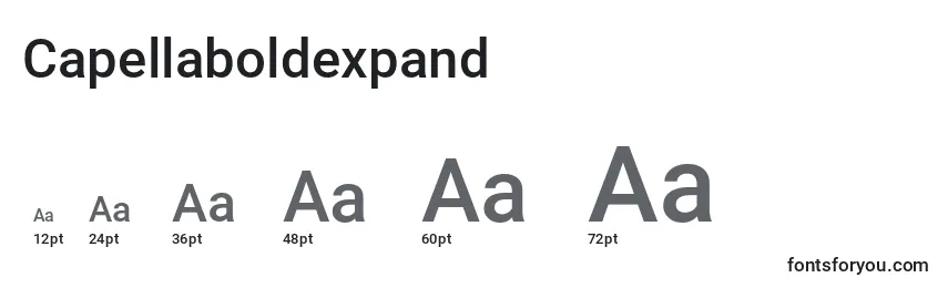 Размеры шрифта Capellaboldexpand