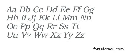 BookmanItalic Font