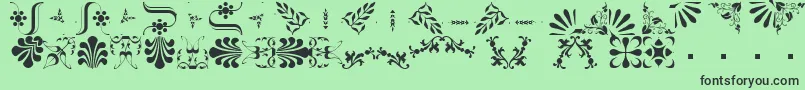 BorderbatsFleur2Regular Font – Black Fonts on Green Background