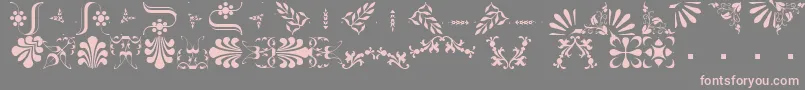 BorderbatsFleur2Regular Font – Pink Fonts on Gray Background