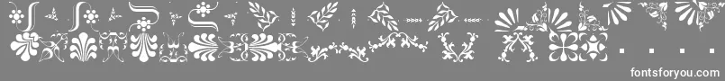 BorderbatsFleur2Regular Font – White Fonts on Gray Background