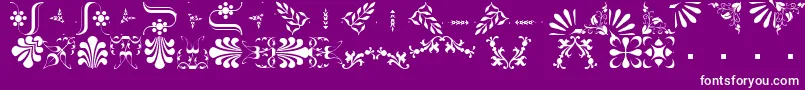 More about BorderbatsFleur2Regular Font BorderbatsFleur2Regular Font – White Fonts on Purple Background