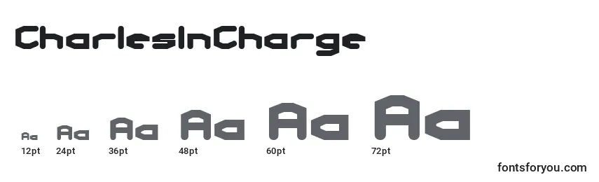 CharlesInCharge Font Sizes