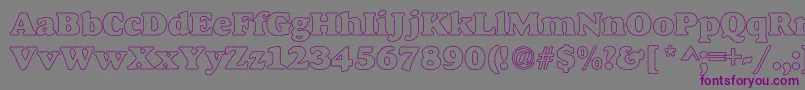 AlfredoHeavyHollow Font – Purple Fonts on Gray Background
