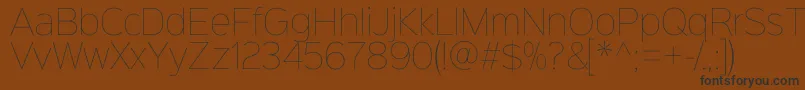 Sinkinsans100thin Font – Black Fonts on Brown Background