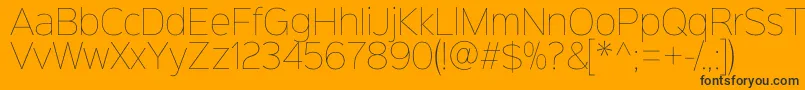 Sinkinsans100thin Font – Black Fonts on Orange Background